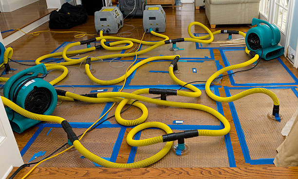 Professional Crawl Space Water Removal technician working in Hemet, CA
